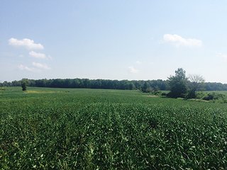 Property photo 7 - REAL ESTATE AUCTION - 56.7+/- ACRES OFFERED IN 3 TRACTS IN STEUBEN COUNTY